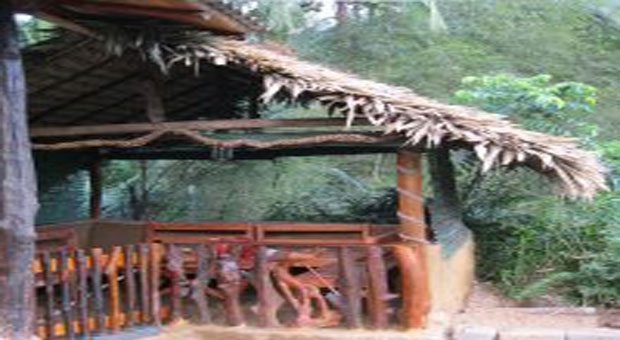 Sinharaja Seyana Eco Lodge 